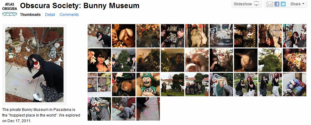 Bunny Museum