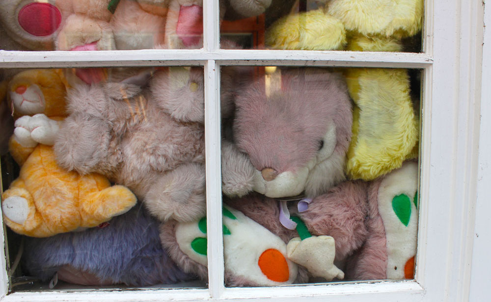 Bunny Museum Obscura Society 