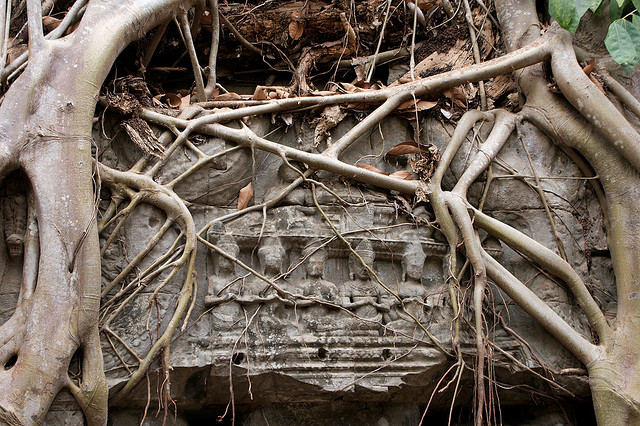 Temple at Angkor Cambodia - Ta Prohm - Atlas Obscura Blog