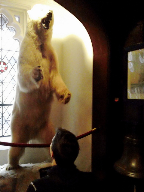 Polar Bear Motion Sensor Roar - Explorers Club NYC - Atlas Obscura Visit Blog